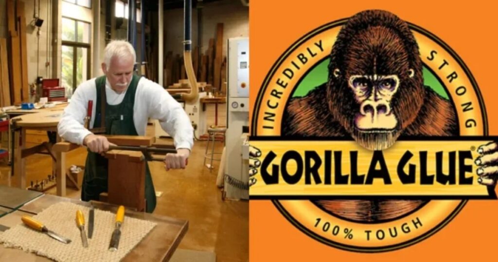 How Much is Mark Singer Gorilla Glue Net Worth